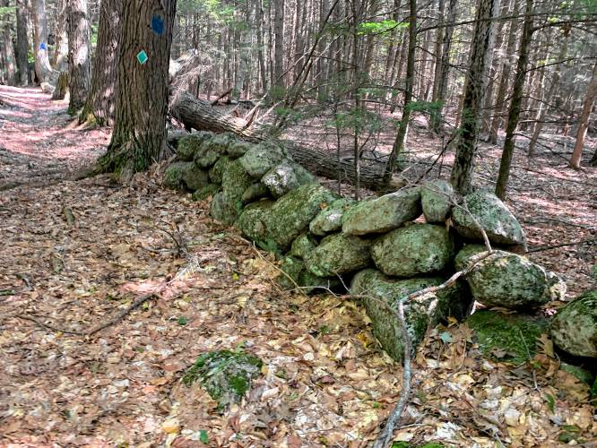 A rock wall creates a natural path along the Ridge Trail.