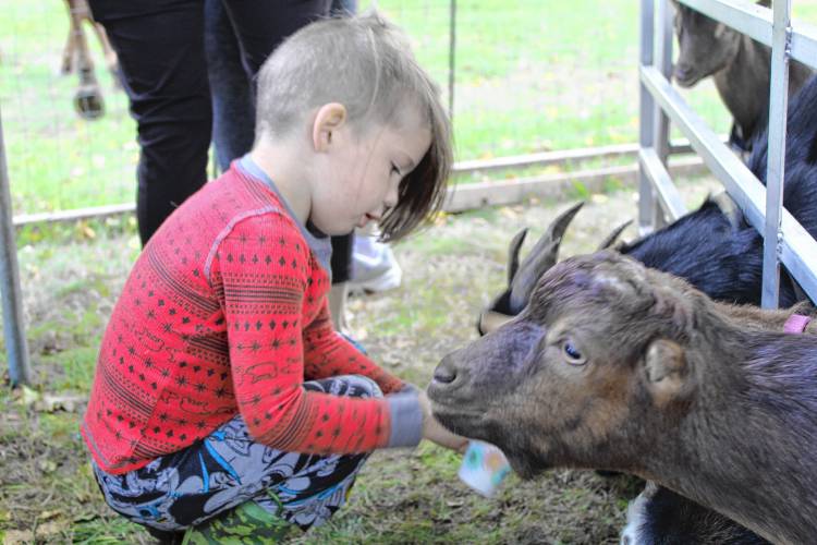 Everett Smith, 4, of Ashby, feeds animals at the New Ipswich Children’s Fair petting zoo.