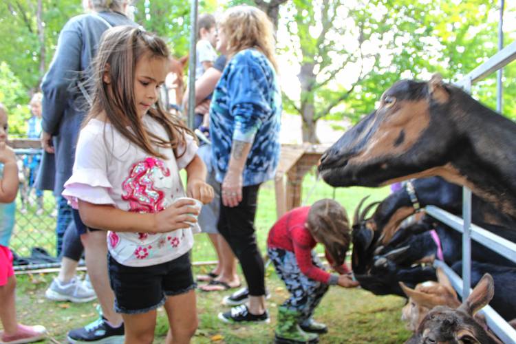 Saylor Heagy, 5, of New Ipswich, feeds a goat a treat at the petting zoo at the New Ipswich Children’s Fair on Saturday.