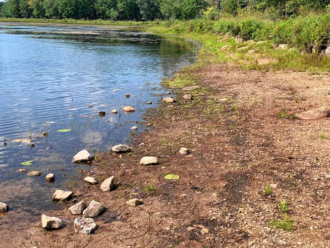 Stopping points along the Wetland Wander Trail allow residents to explore the shoreline of Edward MacDowell Lake.